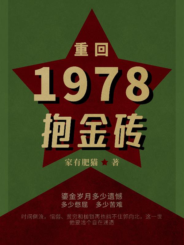 重回1978免费